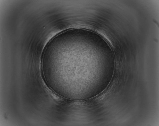 X0000093111040200710171218