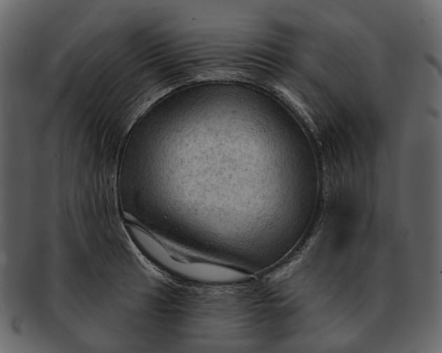 X0000093111041200710171218