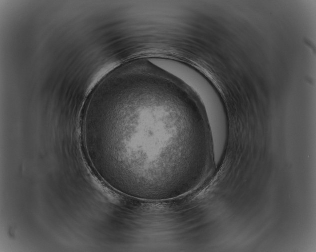 X0000093111042200710171218