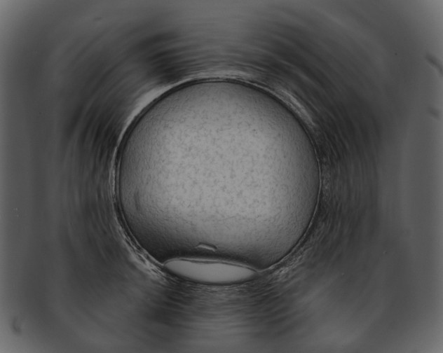 X0000093111044200710171218