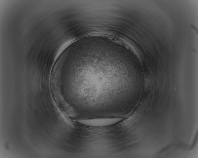 X0000093111050200710171218