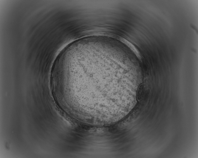 X0000093111051200710171218