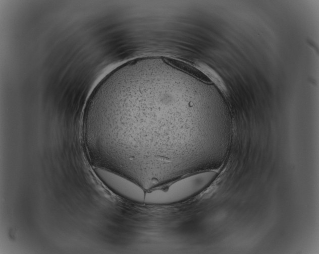 X0000093111052200710171218