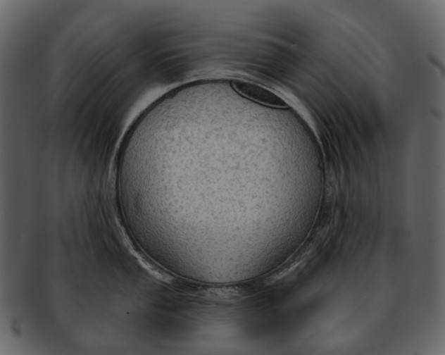 X0000093111053200710171218