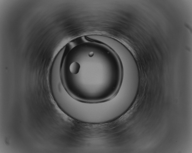 X0000093111054200710171218