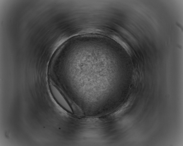 X0000093111055200710171218