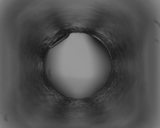 X0000093111061200710171218