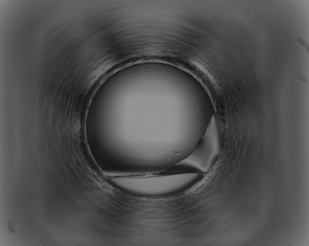 X0000093111065200710171218