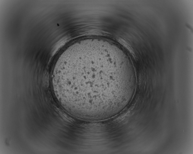 X0000093111067200710171218