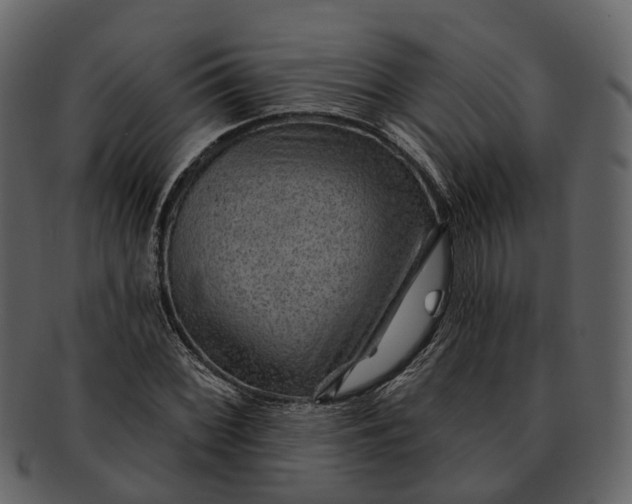 X0000093111068200710171218