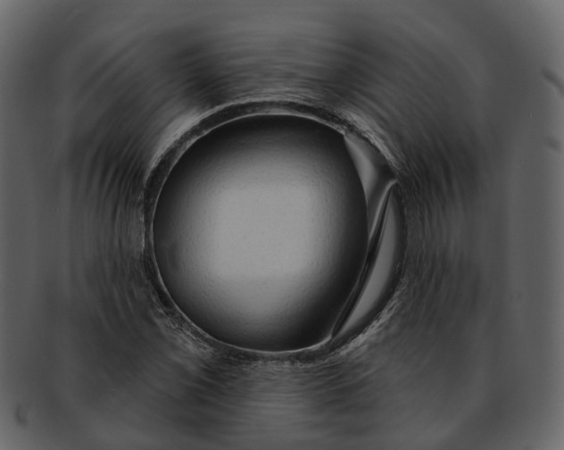 X0000093111069200710171218