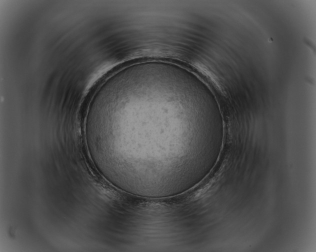 X0000093111070200710171218