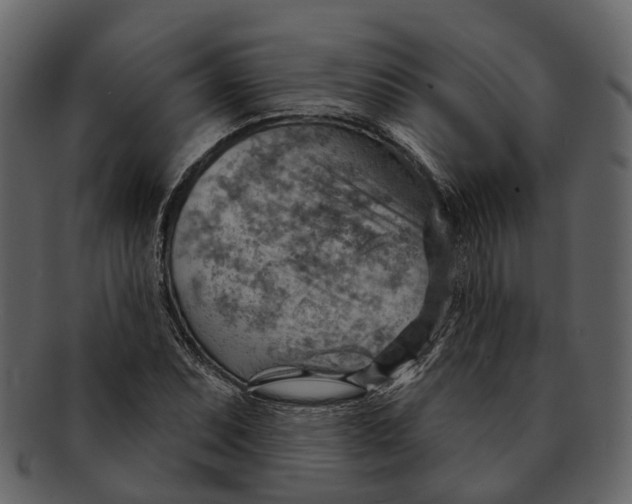 X0000093111071200710171218