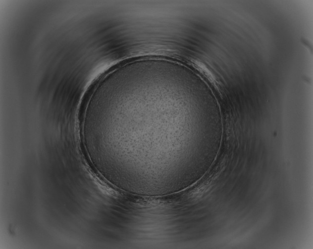 X0000093111072200710171218