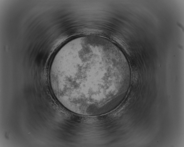 X0000093111074200710171218