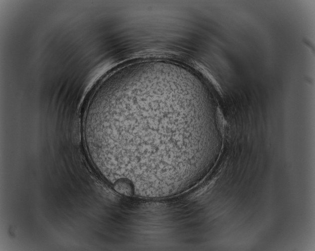 X0000093111075200710171218