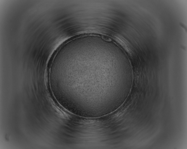 X0000093111076200710171218