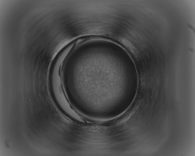 X0000093111077200710171218