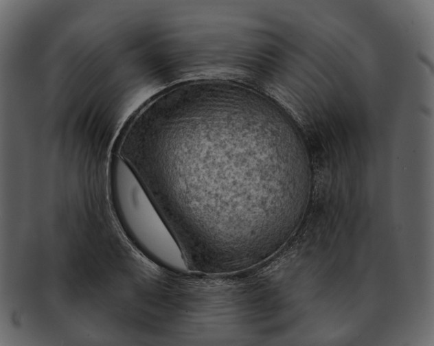 X0000093111079200710171218