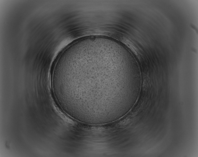 X0000093111080200710171218