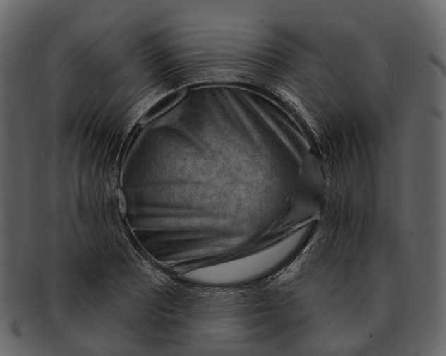 X0000093111081200710171217