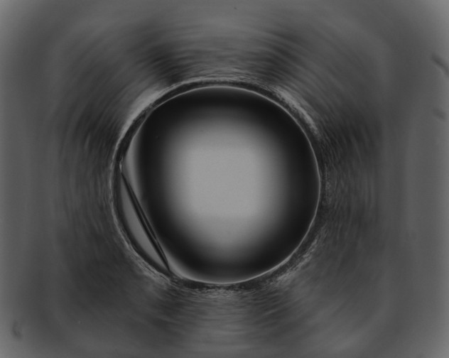 X0000093111085200710171217