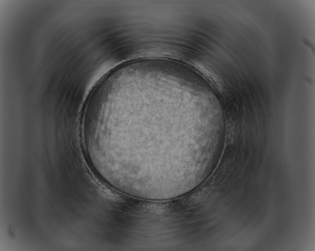 X0000093111086200710171217