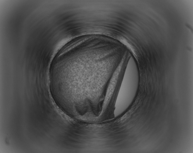 X0000093111088200710171217