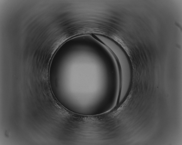 X0000093111089200710171217