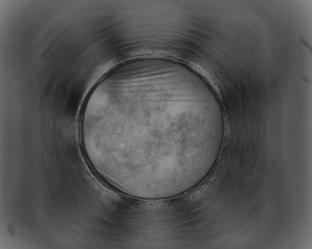 X0000093111090200710171217