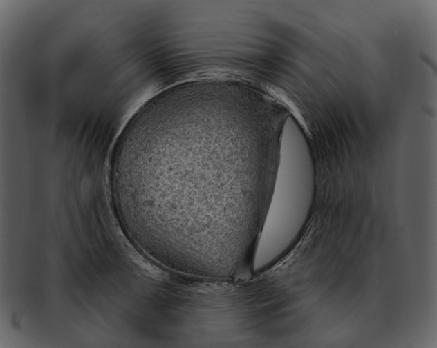 X0000093111091200710171217