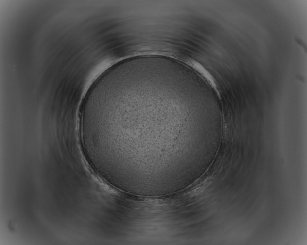 X0000093111096200710171217