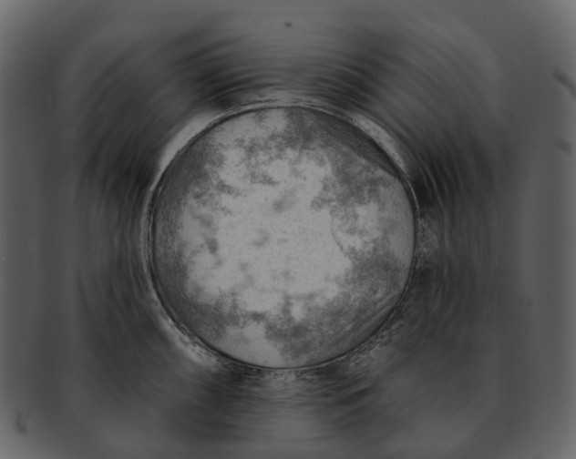 X0000093111098200710171217