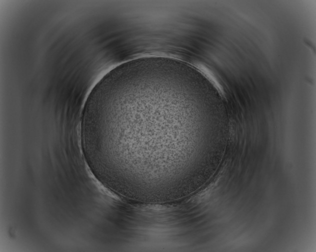 X0000093111100200710171217