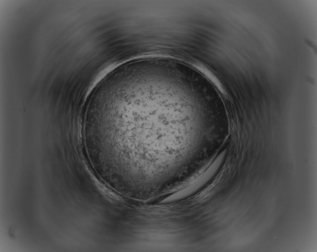 X0000093111101200710171217