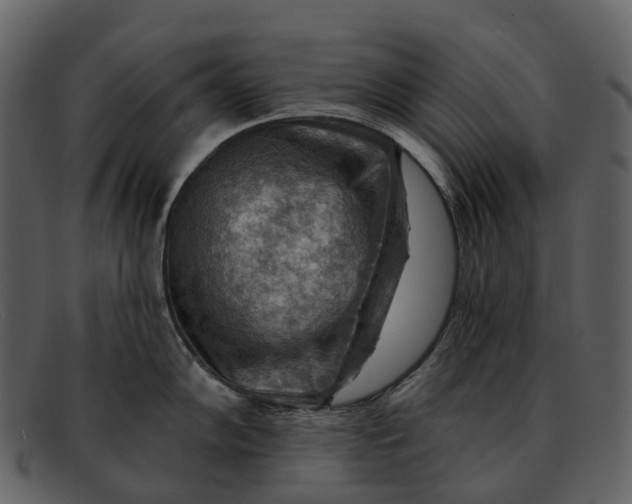 X0000093111102200710171217