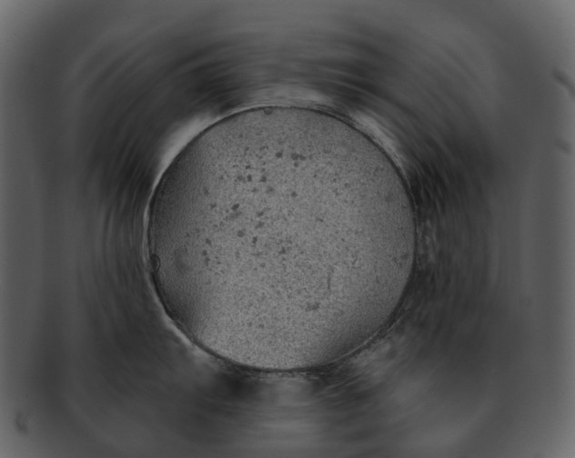 X0000093111103200710171217