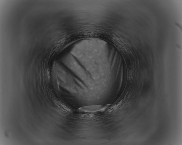 X0000093111106200710171217