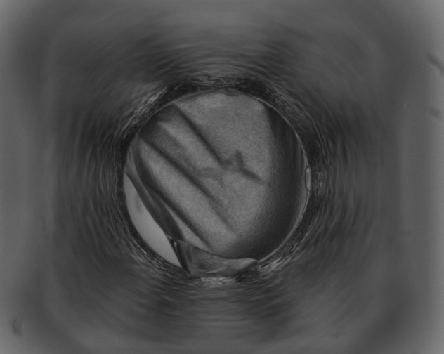 X0000093111108200710171217