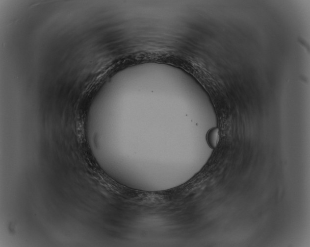 X0000093111109200710171217