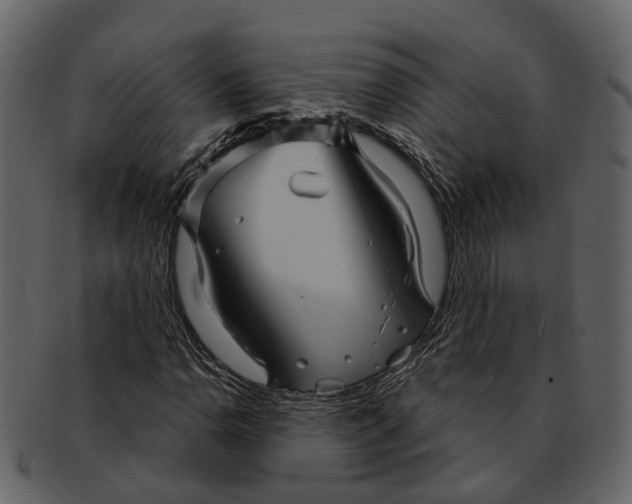 X0000093111110200710171217