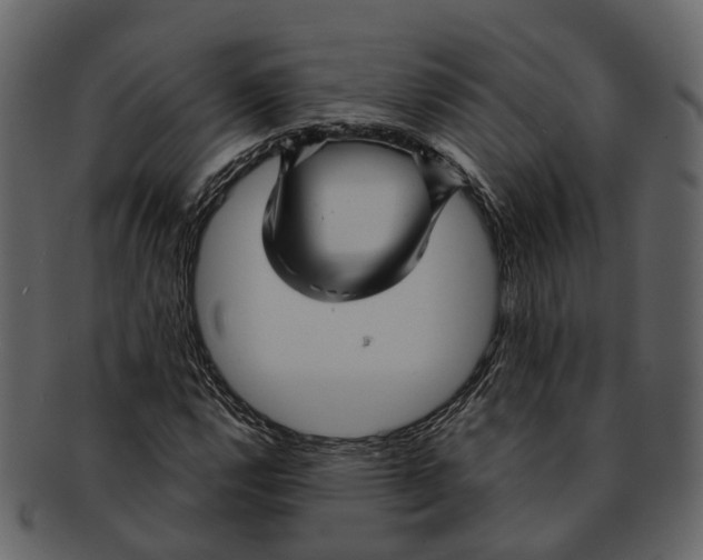 X0000093111112200710171217