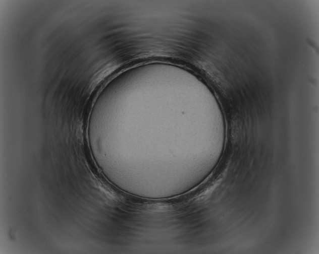 X0000093111113200710171217