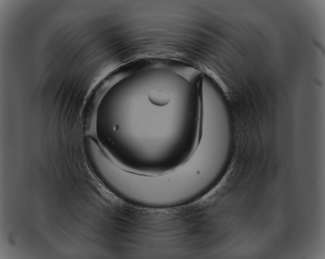 X0000093111114200710171217