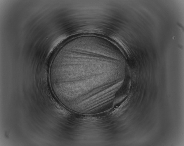 X0000093111115200710171217