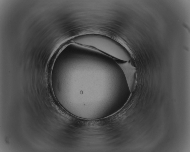 X0000093111116200710171217