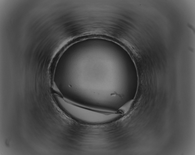 X0000093111118200710171217