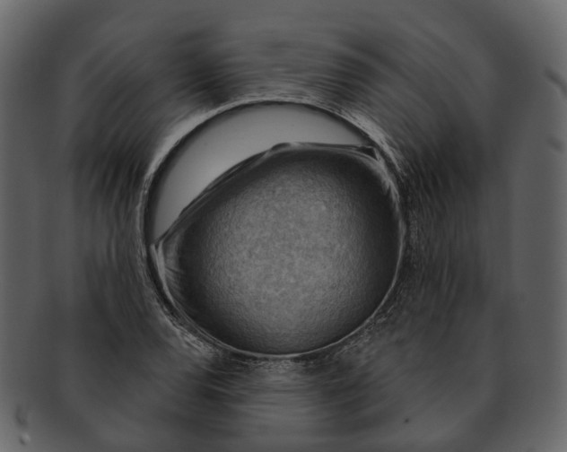 X0000093111120200710171217