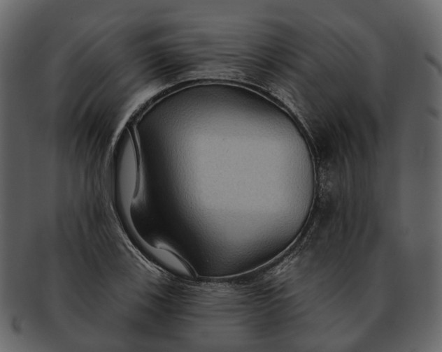 X0000093111123200710171217