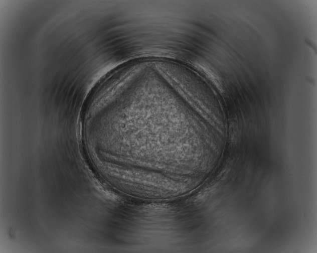 X0000093111125200710171217